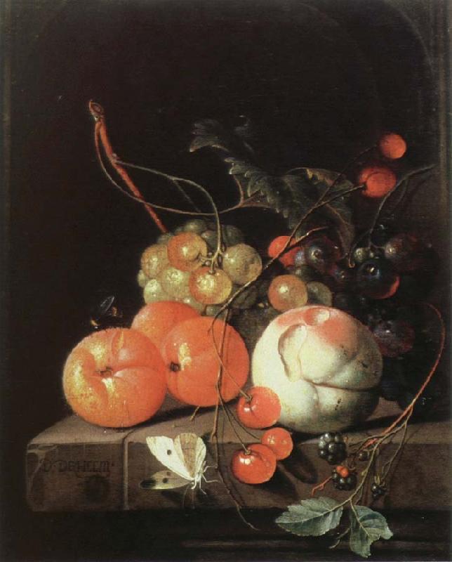 Jan Davidz de Heem still life of fruit Germany oil painting art